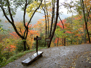 大展望台 大展望台