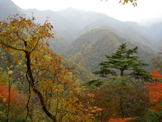 大展望台からの眺め 山並み