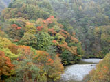 ネトリ橋より笛吹川を望む 渓谷