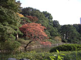 渡月橋からの眺め 六義園 渡月橋からの眺め