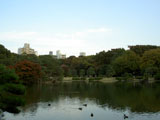 渡月橋からの眺め 六義園 渡月橋からの眺め