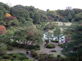藤代峠 六義園 藤代峠