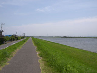 堤防 常陸利根川