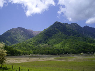 山