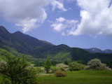 山