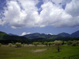 山
