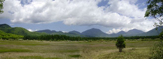 小田代ヶ原