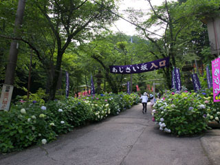 あじさい坂入口