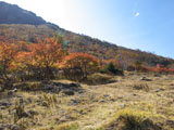 山と紅葉