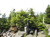 丸山山頂 丸山山頂