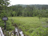 白駒湿原 白駒湿原