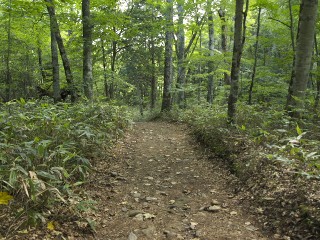 奥鬼怒歩道 奥鬼怒歩道