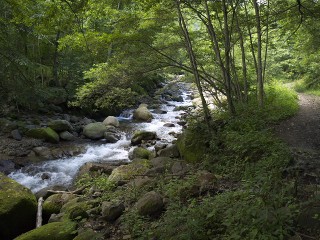 せせらぎ 鬼怒川源流