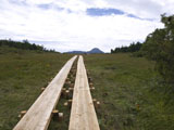 日光白根山 鬼怒沼 木道