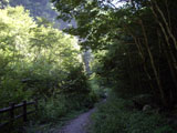 山道 奥鬼怒歩道