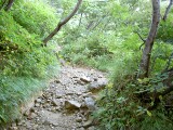 登山道 登山道