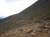 登山道 登山道
