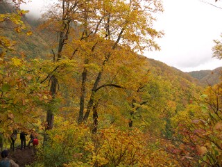 雨飾山 紅葉