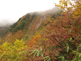 雨飾山 紅葉