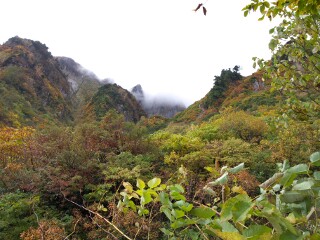 雨飾山 紅葉