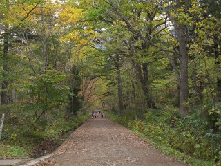 奥社参道 戸隠神社 奥社参道