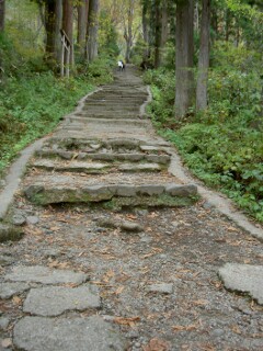 石段 戸隠神社 奥社参道 石段