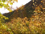 山道 雨飾山 紅葉