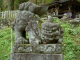 狛犬 狛犬