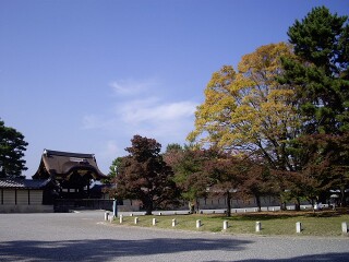 京都御苑 京都御苑