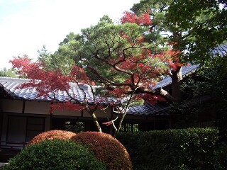 高桐院