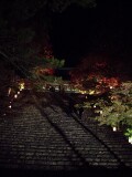 金堂への階段 神護寺
