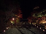 金堂への階段 神護寺