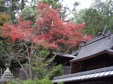 今宮神社 今宮神社