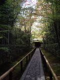参道 高桐院 参道