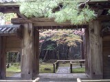 高桐院