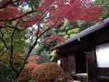 高桐院