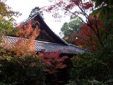 高桐院
