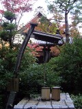 井戸 高桐院 井戸