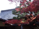 高桐院