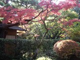 高桐院