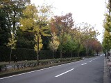 北山会館前の通り 表千家 北山会館