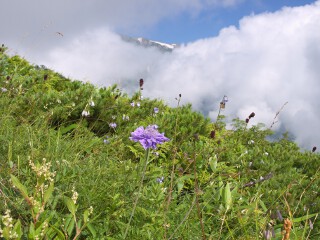 第2ケルン 第2ケルン