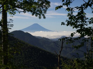 富士山
