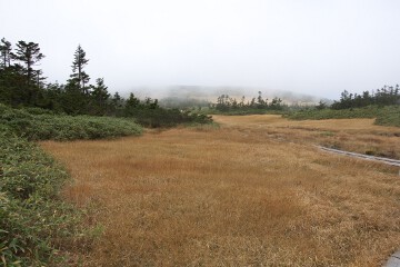 八幡沼湿原 八幡平