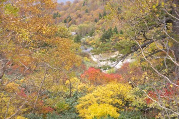 大深温泉 大深温泉