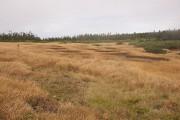 八幡沼湿原 八幡平