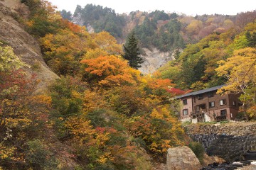 紅葉 姥湯温泉