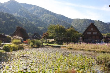 白川郷