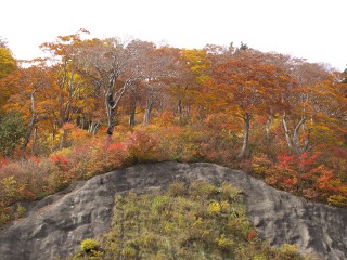 栂の木台駐車場