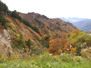 栂の木台駐車場